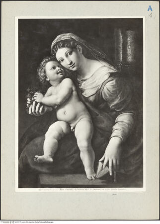 Vorderseite von bh222170_recto