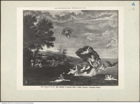 Vorderseite von bh222174_recto