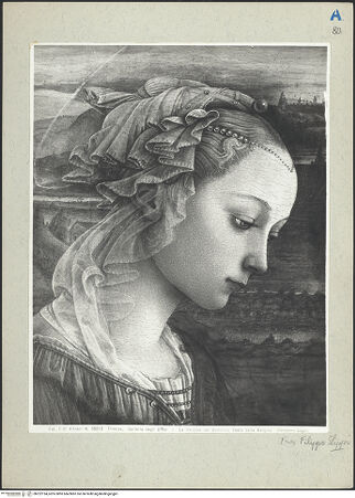 Vorderseite von bh222194_recto