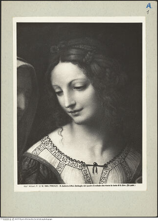 Vorderseite von bh222199_recto