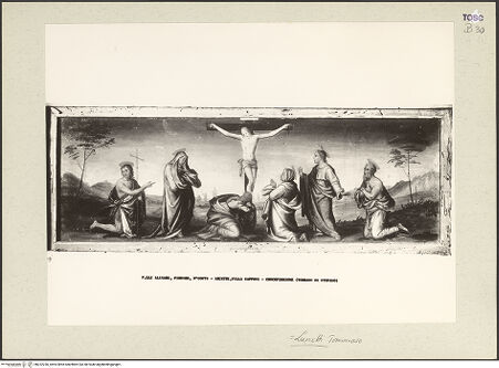 Vorderseite von bh222236_recto