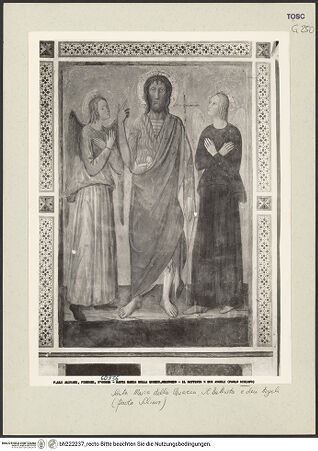 Vorderseite von bh222237_recto