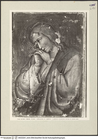 Vorderseite von bh222241_recto