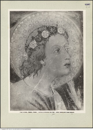 Vorderseite von bh222257_recto