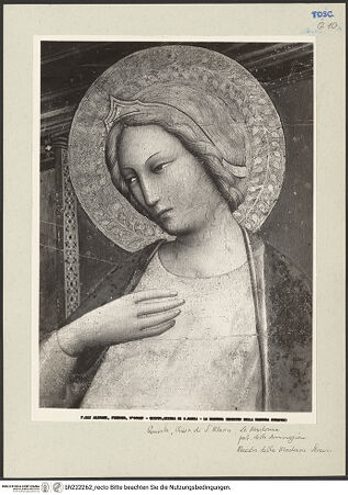 Vorderseite von bh222262_recto