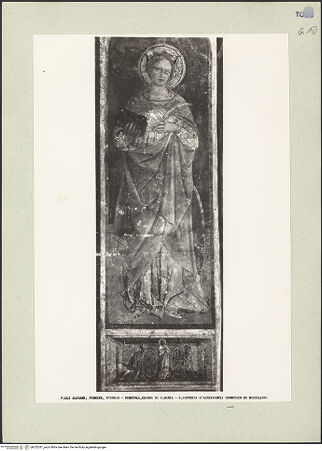 Vorderseite von bh222281_recto