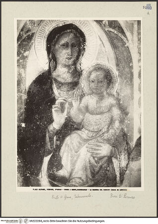 Vorderseite von bh222284_recto