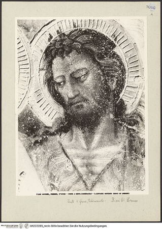 Vorderseite von bh222285_recto