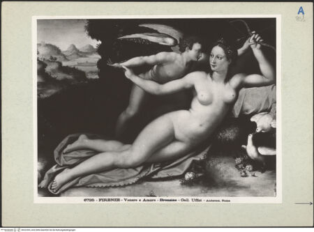 Vorderseite von bh222593_recto