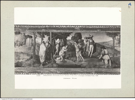 Vorderseite von bh222622_recto