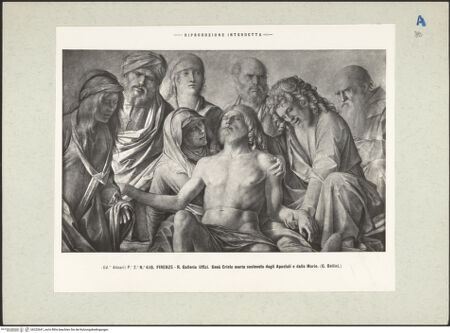 Vorderseite von bh222641_recto