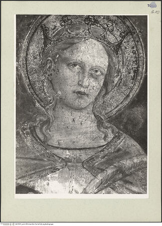 Vorderseite von bh222691_recto