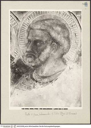 Vorderseite von bh222699_recto