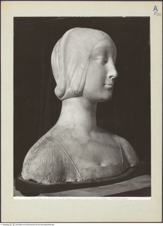 Vorderseite von bh223088_recto