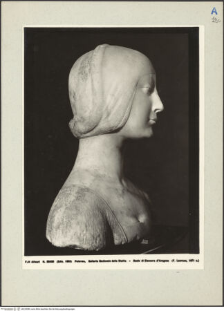 Vorderseite von bh223089_recto