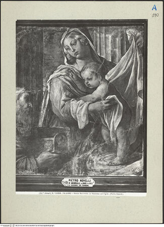 Vorderseite von bh223126_recto