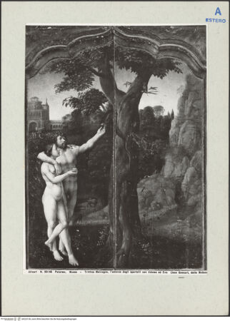 Vorderseite von bh223136_recto