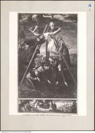 Vorderseite von bh223138_recto