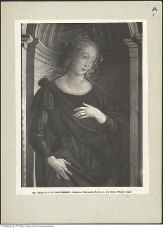 Vorderseite von bh223142_recto