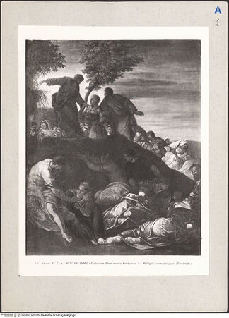 Vorderseite von bh223172_recto