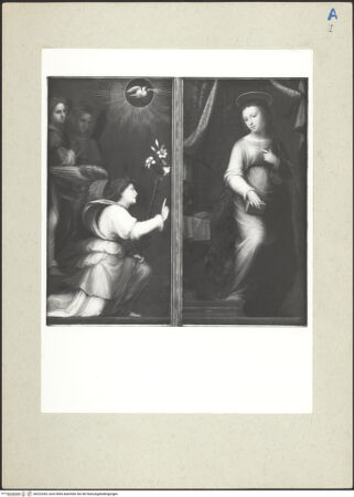 Vorderseite von bh223343_recto