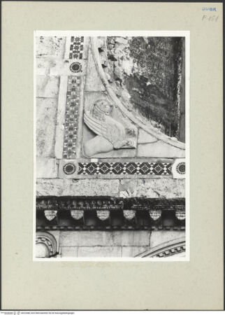 Vorderseite von bh223388_recto