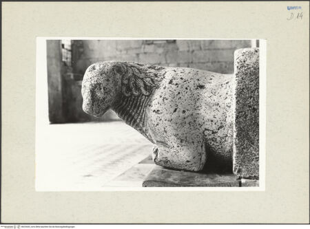 Vorderseite von bh223422_recto