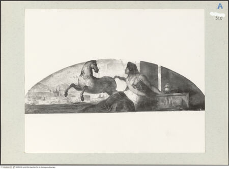 Vorderseite von bh223458_recto