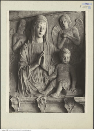 Vorderseite von bh223549_recto