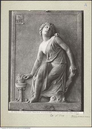 Vorderseite von bh223679_recto