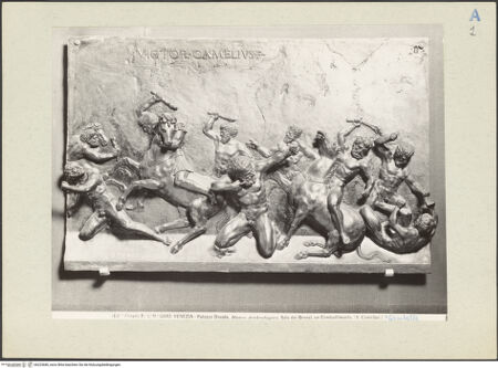 Vorderseite von bh223680_recto