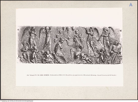 Vorderseite von bh223686_recto