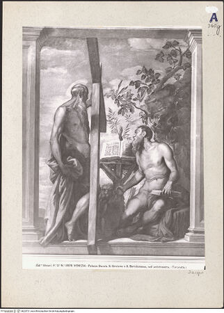 Vorderseite von bh223721_recto