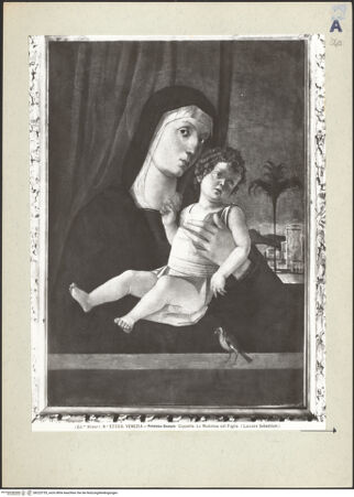 Vorderseite von bh223735_recto