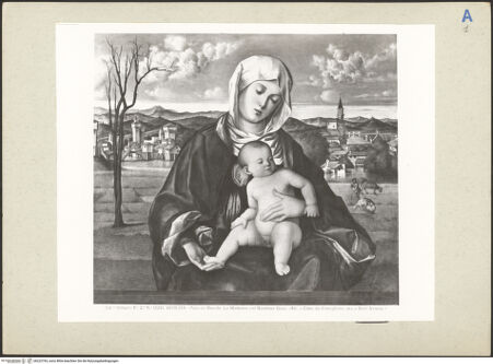 Vorderseite von bh223763_recto