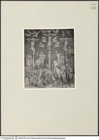 Vorderseite von bh223781_recto