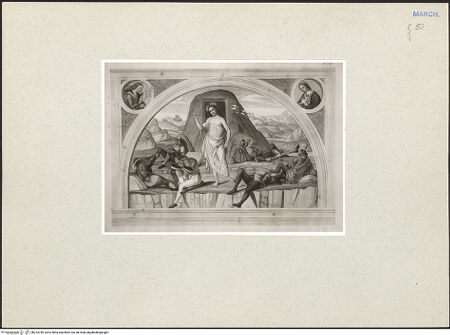 Vorderseite von bh223789_recto