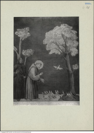 Vorderseite von bh223831_recto