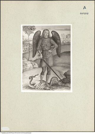 Vorderseite von bh223955_recto