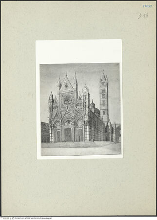 Vorderseite von bh224062_recto