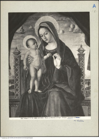 Vorderseite von bh224089_recto