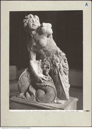 Vorderseite von Alinari [https://www.deutsche-digitale-bibliothek.de/content/lizenzen/rv-ez/] Skylla - Frontalansicht, bh224137_recto. Foto.