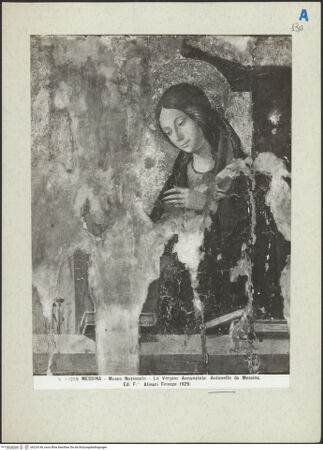 Vorderseite von bh224146_recto