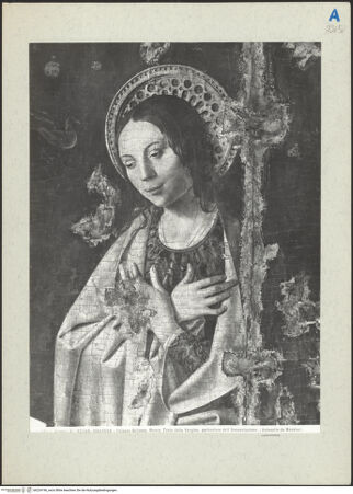 Vorderseite von bh224196_recto