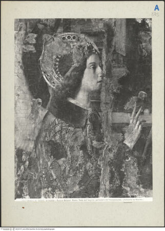 Vorderseite von bh224197_recto