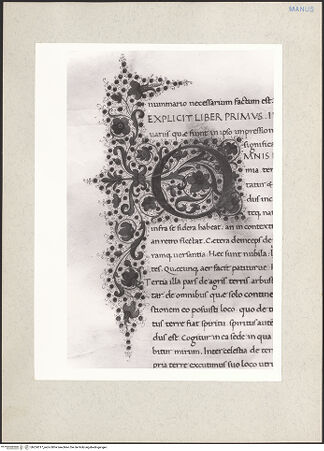 Vorderseite von bh224317_recto