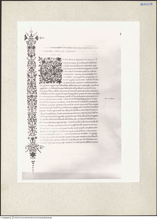 Vorderseite von bh224319_recto