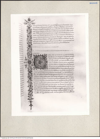 Vorderseite von bh224322_recto