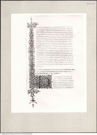 Vorderseite von bh224324_recto