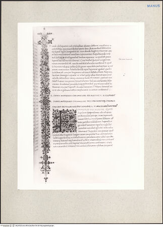 Vorderseite von bh224325_recto